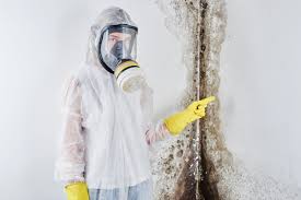 Why You Should Choose Our Mold Remediation Services in Maryland Heights, MO